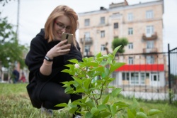 Экологический конкурс арт-объектов в Перми
